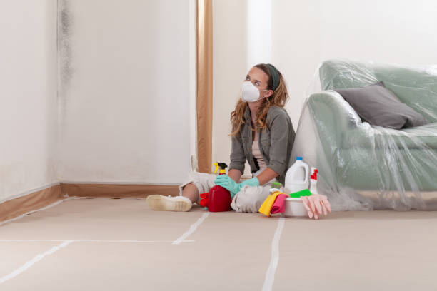 Reliable Mold Testing contractor in Abingdon, VA by WQB Mold Removal