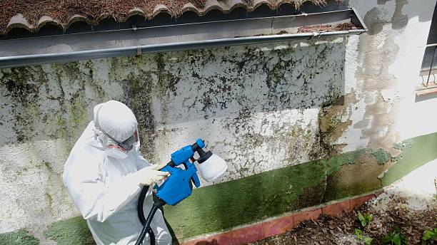 Top rated local Mold Testing specialists in Abingdon, VA